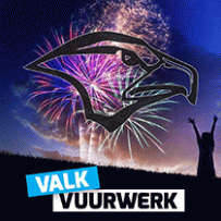 valk logo.png